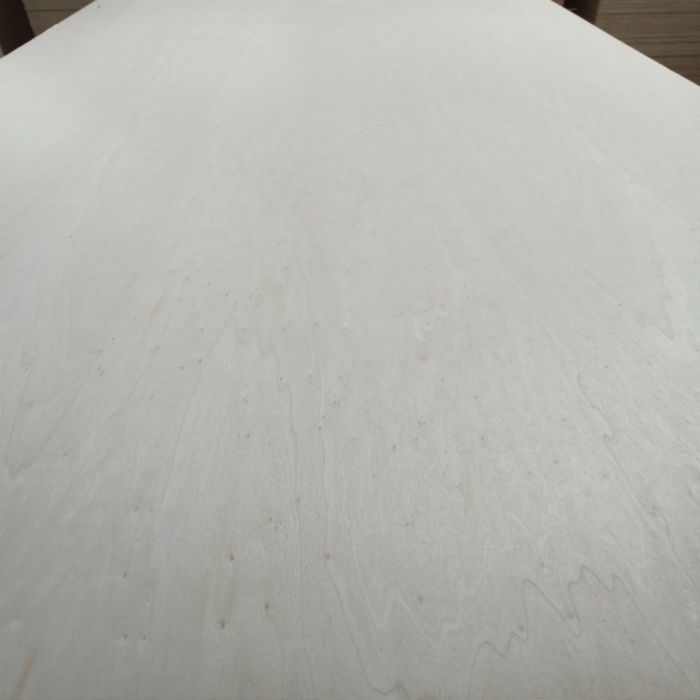 poplar plywood