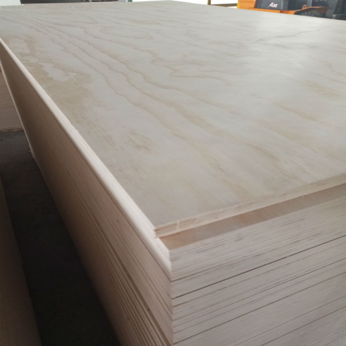 radiata pine plywood